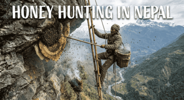 mad-honey-hunting-in-nepal