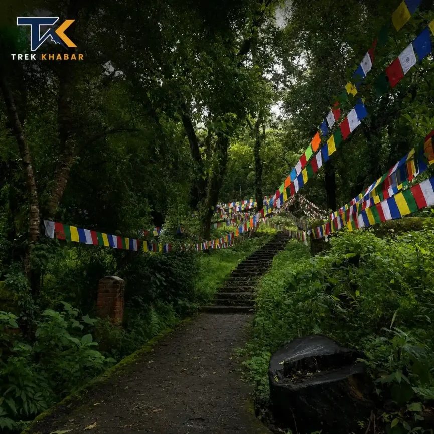 Phulchowki Hike near Kathmandu Valley