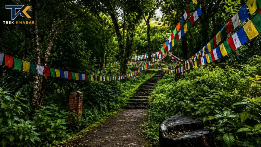 Phulchowki hike