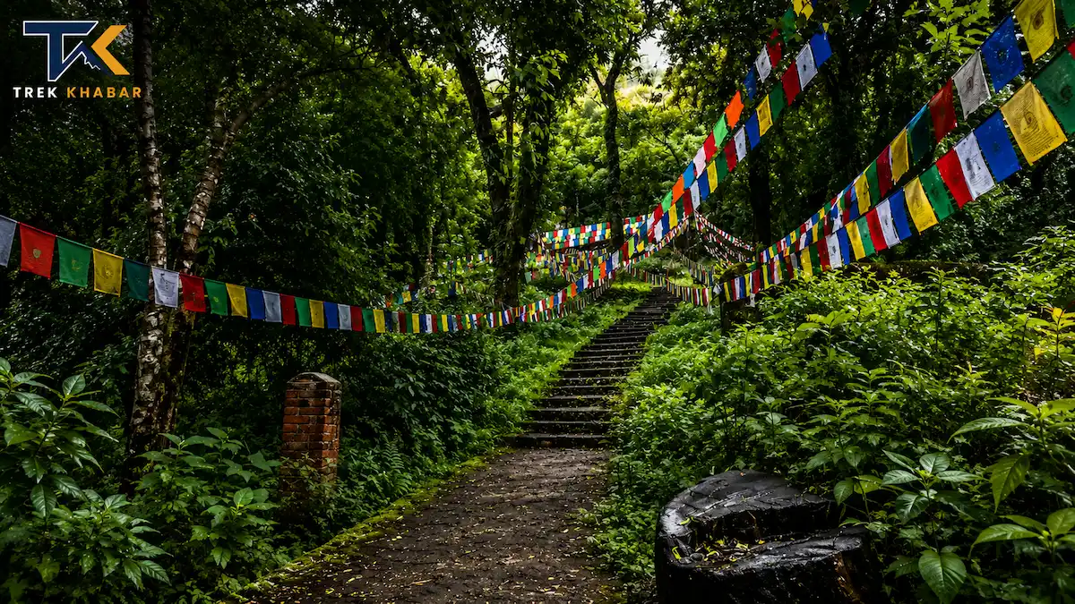 Phulchowki hike